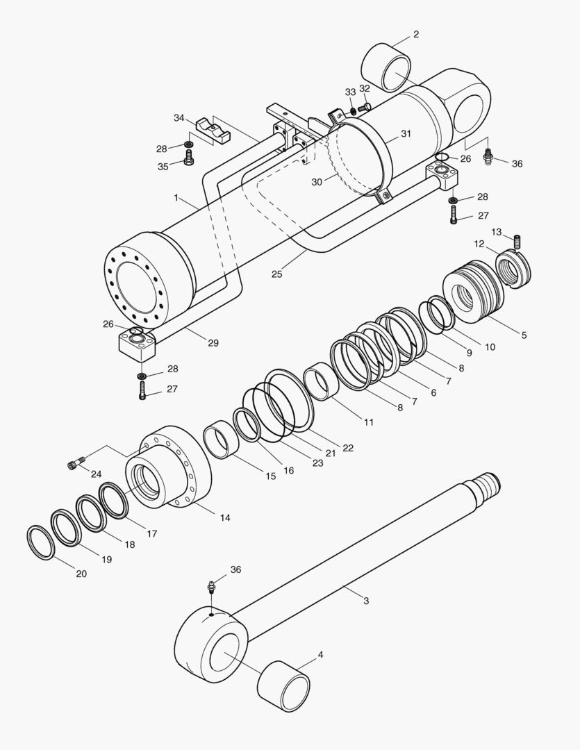 4300 BOOM CYLINDER-L.H [1043~]