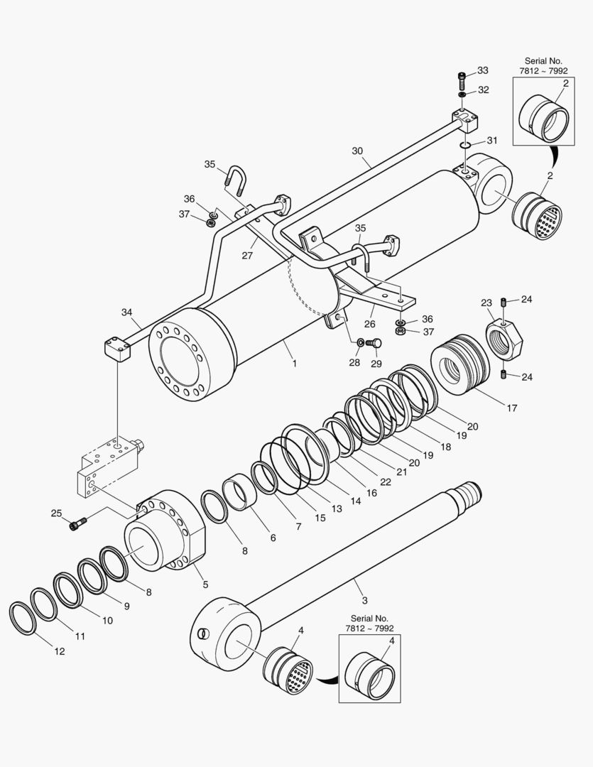 Спецтехника 4371 ARTI BOOM CYLINDER - LOCK VALVE [7812~] - главное фото