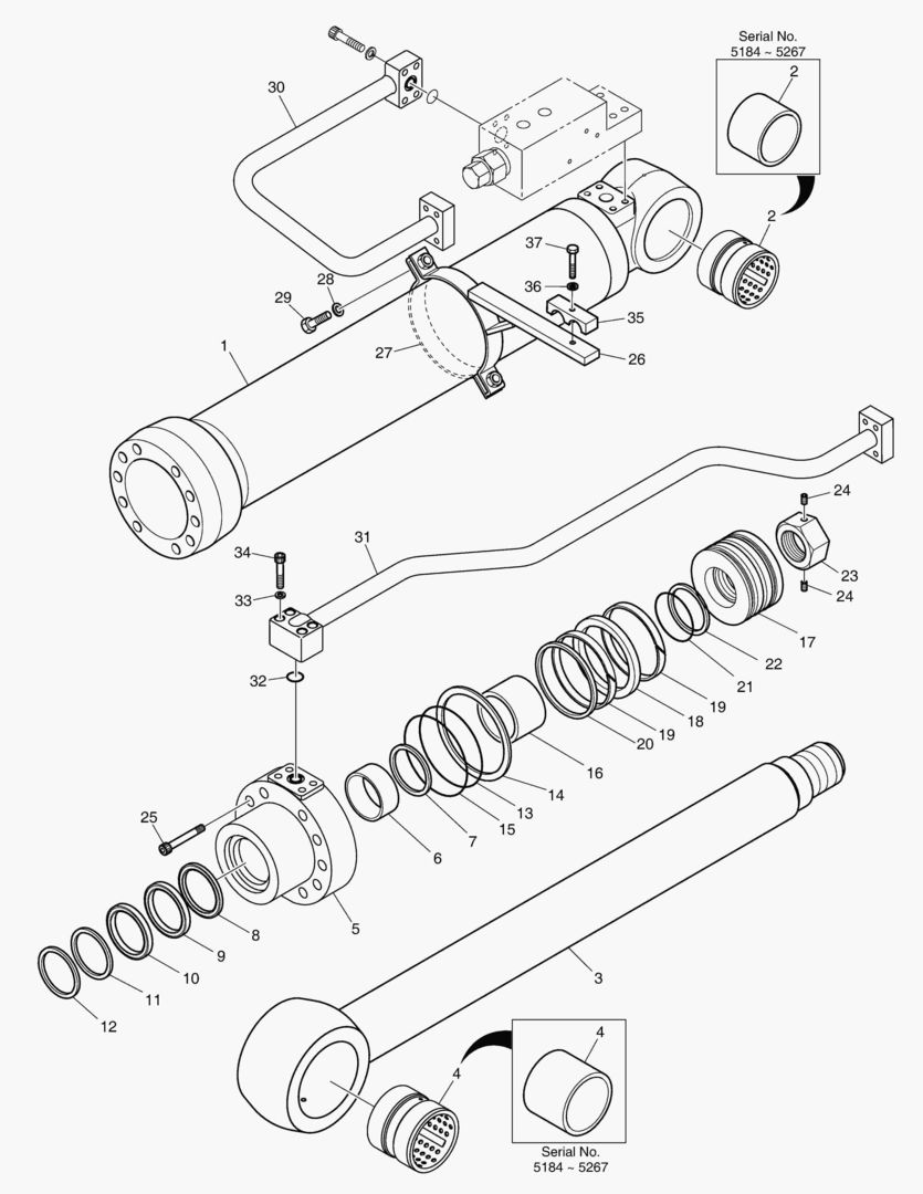 Спецтехника 4491 BOOM CYLINDER - L.H.(LOCK VALVE) [5184~] - главное фото