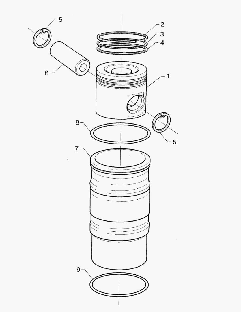 Спецтехника G010-58 REPAIR KIT; PISTON AND CYLINDER LINER - главное фото