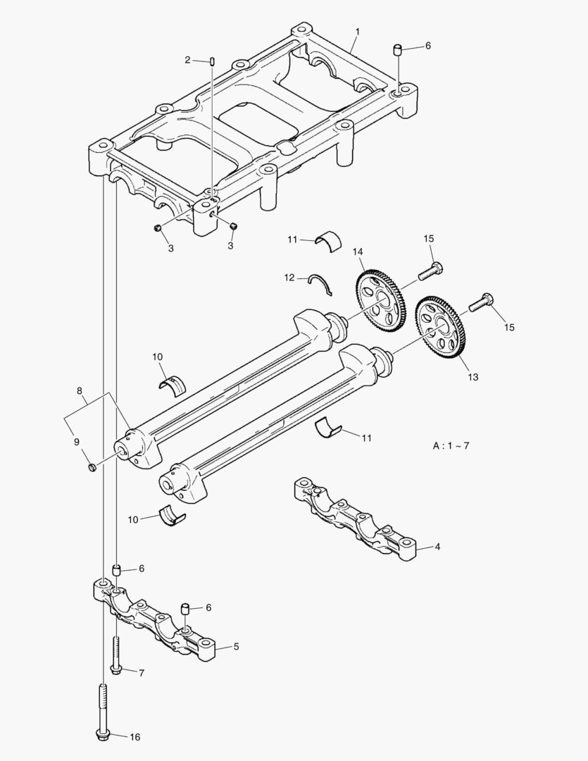 011 BALANCE SHAFT UNIT