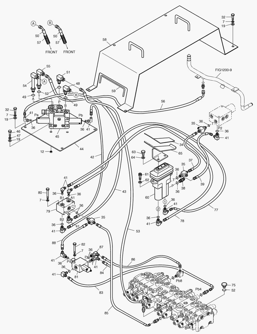 ЛЕСНОЙ В СБОРЕ-ЛЕСНОЗАХВАТ(1)