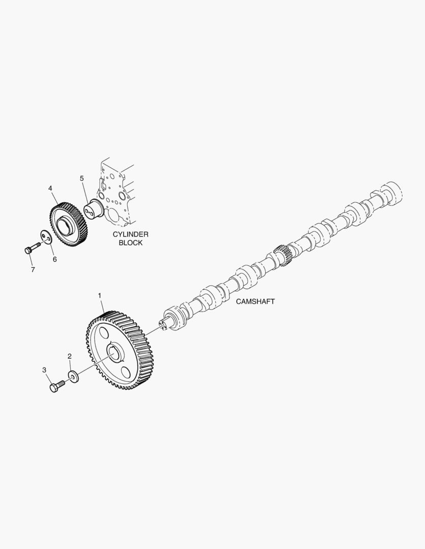 019 CAMSHAFT DRIVE